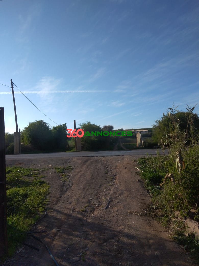 Terrain à vendre à Salé Bouknadel – 9 Hectares - 1200 DH/m² - photo 13