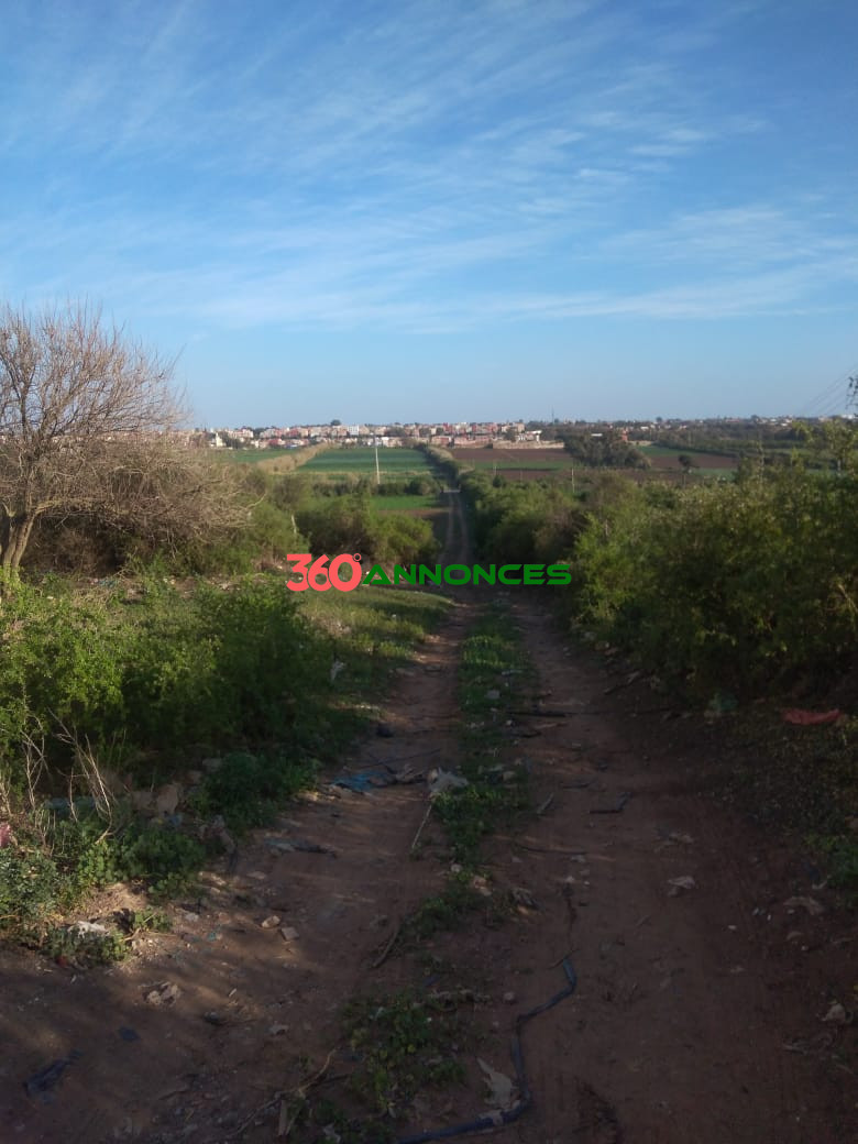 Terrain à vendre à Salé Bouknadel – 9 Hectares - 1200 DH/m² - photo 14