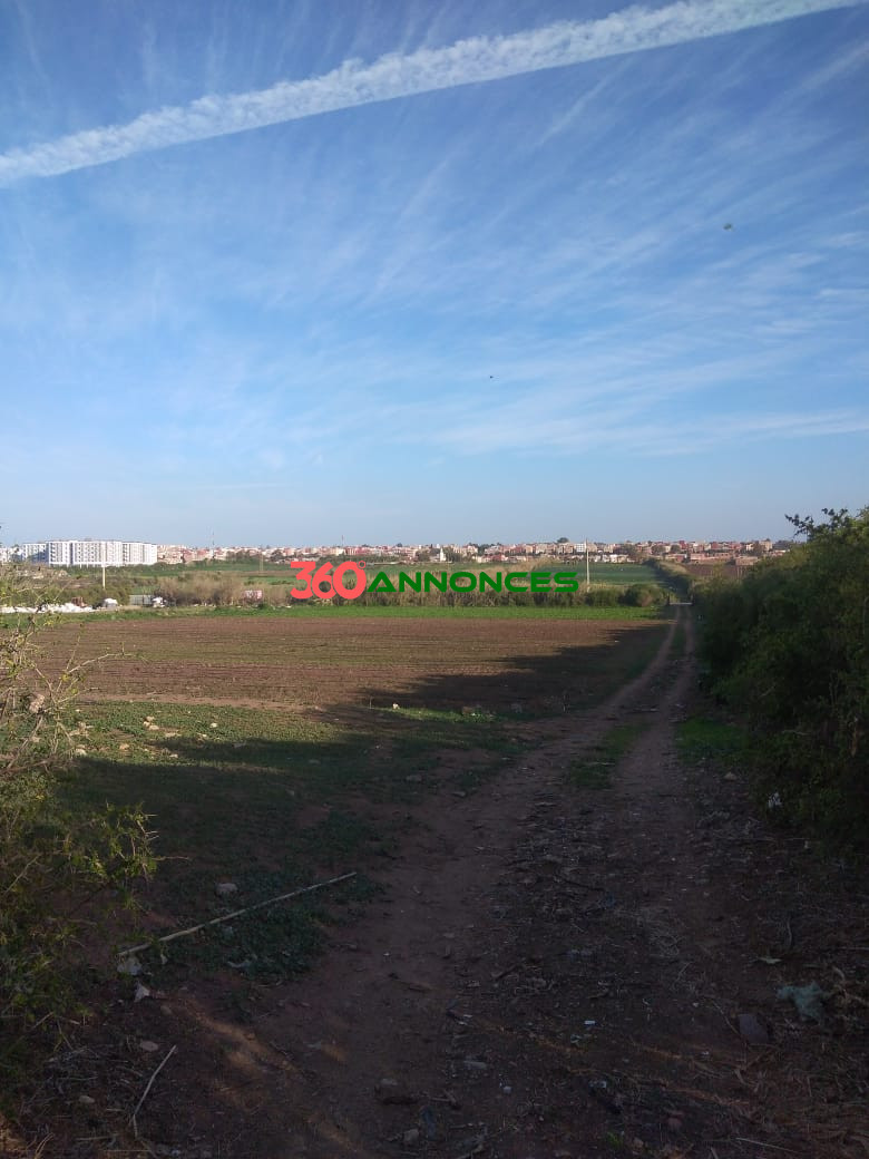 Terrain à vendre à Salé Bouknadel – 9 Hectares - 1200 DH/m² - photo 15