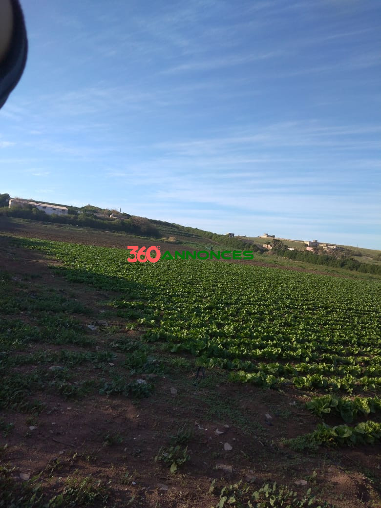 Terrain à vendre à Salé Bouknadel – 9 Hectares - 1200 DH/m² - photo 16