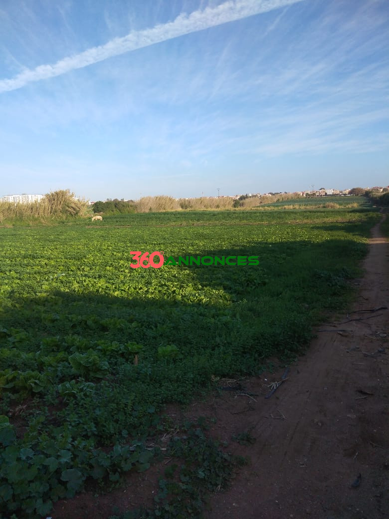 Terrain à vendre à Salé Bouknadel – 9 Hectares - 1200 DH/m² - photo 17