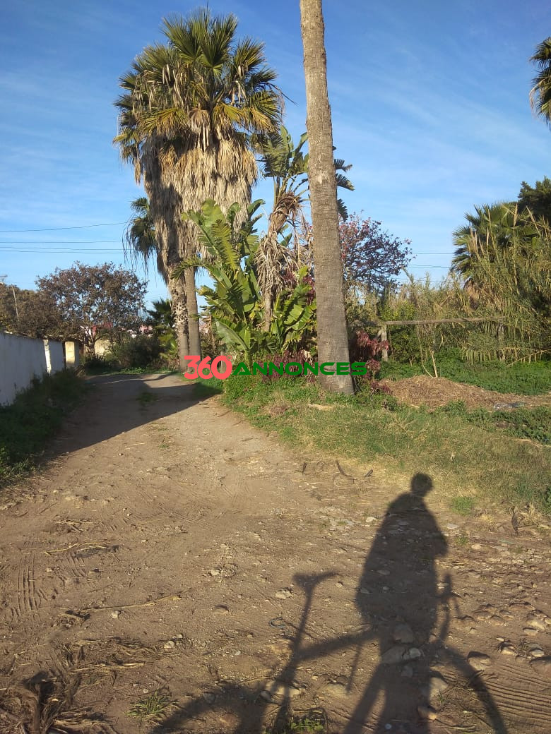 Terrain à vendre à Salé Bouknadel – 9 Hectares - 1200 DH/m² - photo 18