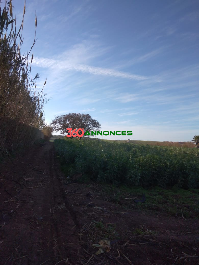 Terrain à vendre à Salé Bouknadel – 9 Hectares - 1200 DH/m² - photo 19
