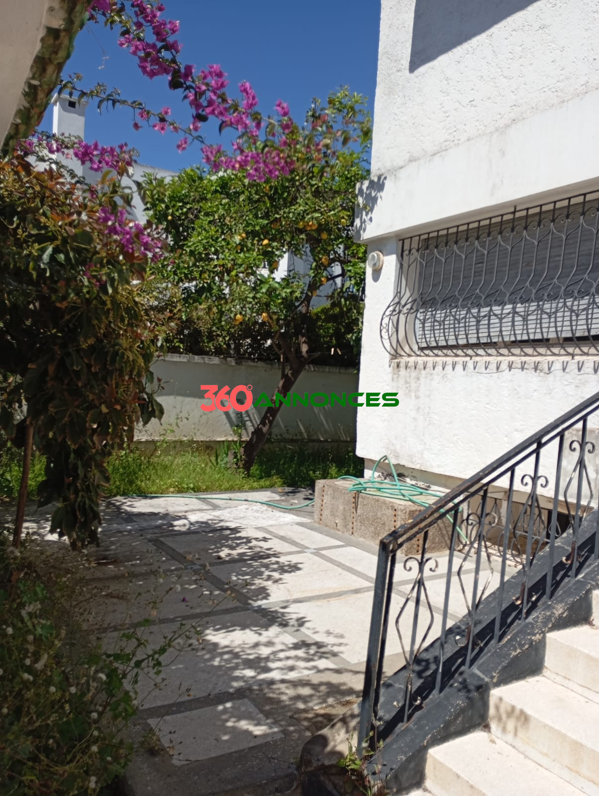 Photo 6