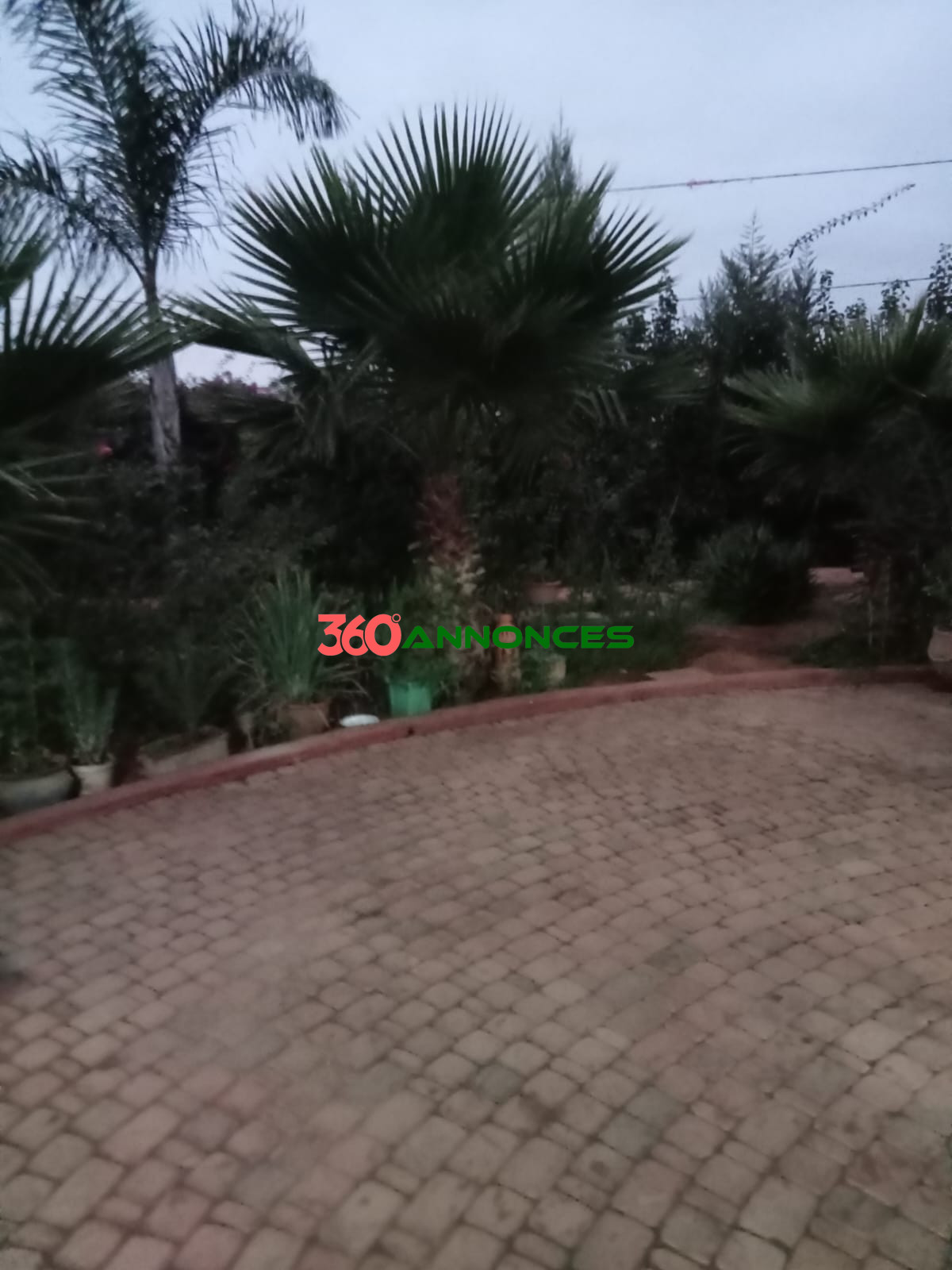 Villa à louer à Oum Azza – Route Zaer - 700 m² - 400 DH/jour - photo 6