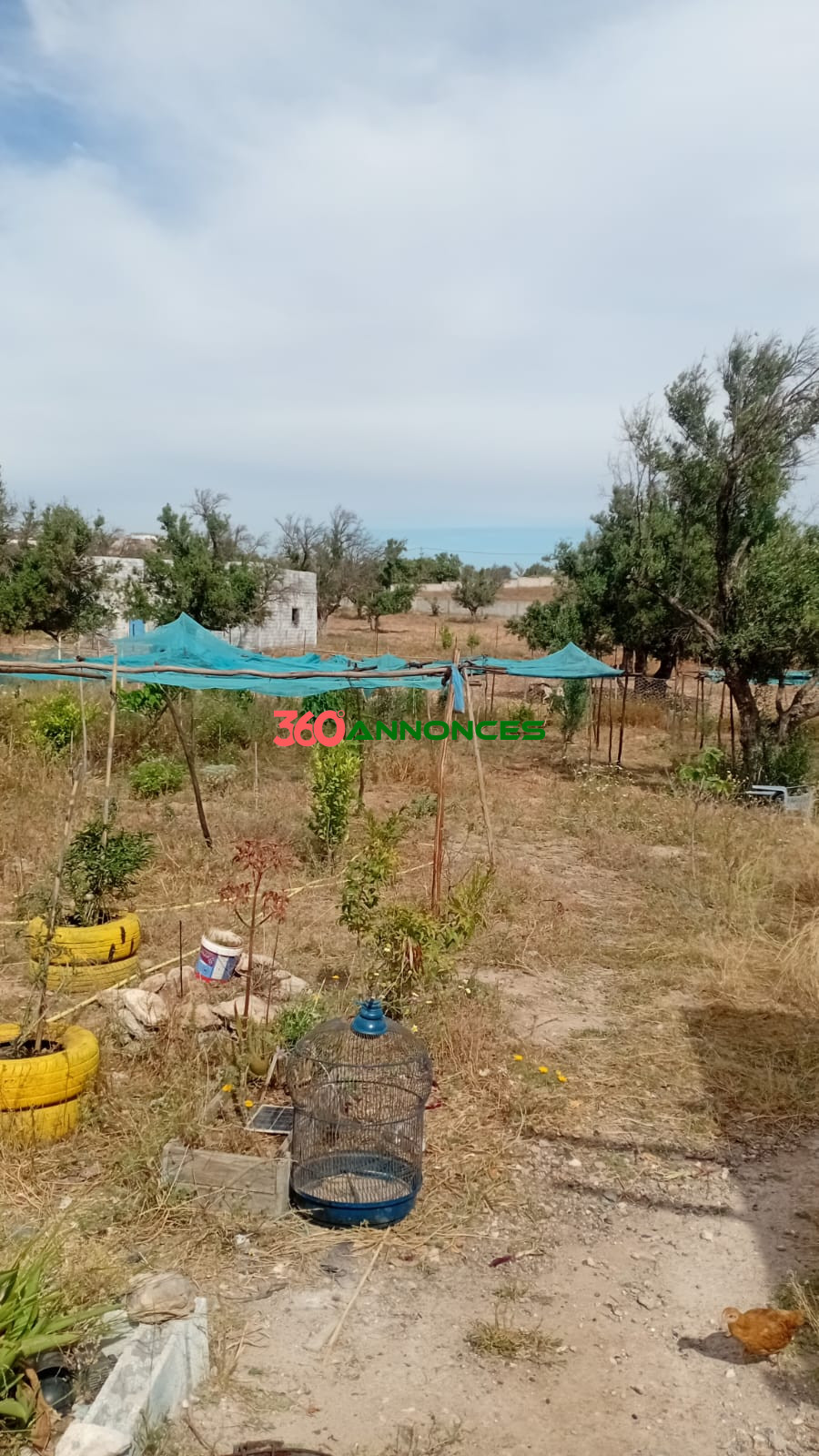 Maison avec terrain à vendre près d’Essaouira – 2 000 m² à Had Draa à 450 000 MAD — photo 3