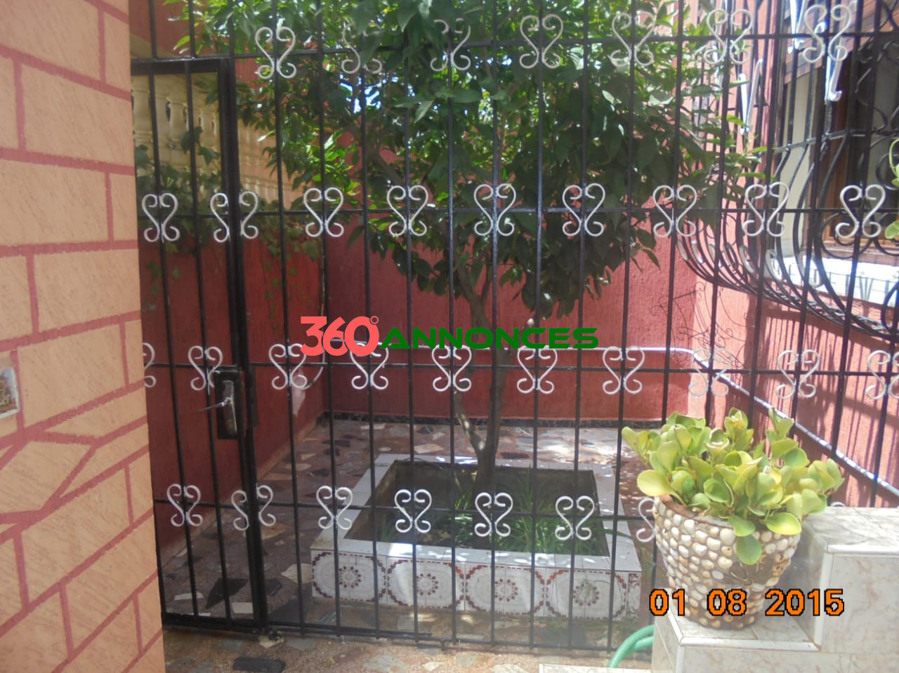 Photo 9