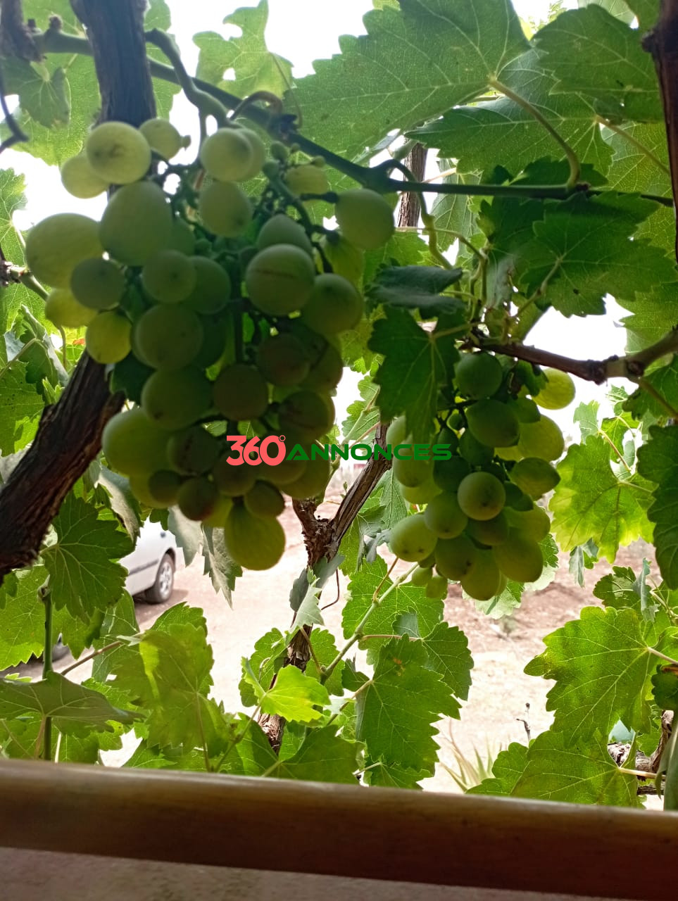 Villa / Ferme à vendre à Settat – 1400 m² - Prix : 360 000 DH - photo 5