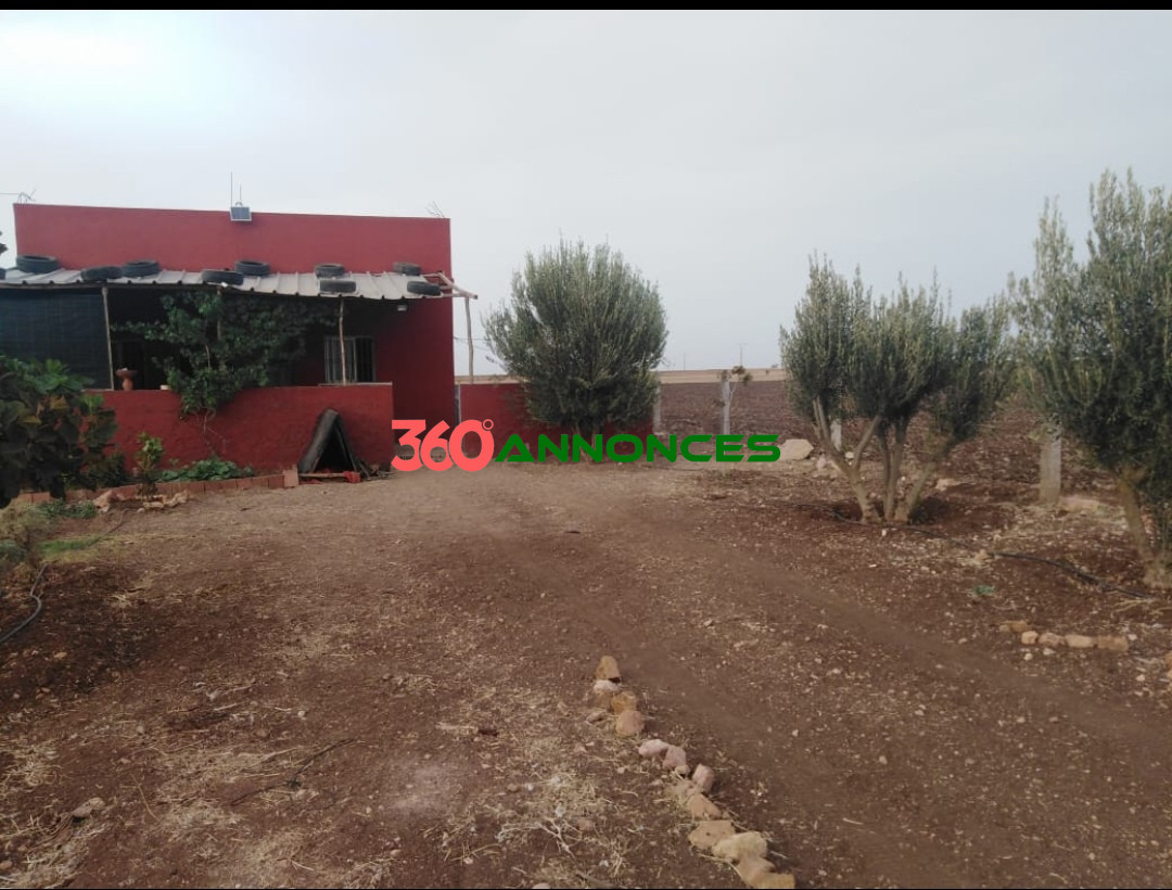 Villa / Ferme à vendre à Settat – 1400 m² - Prix : 360 000 DH - photo 8