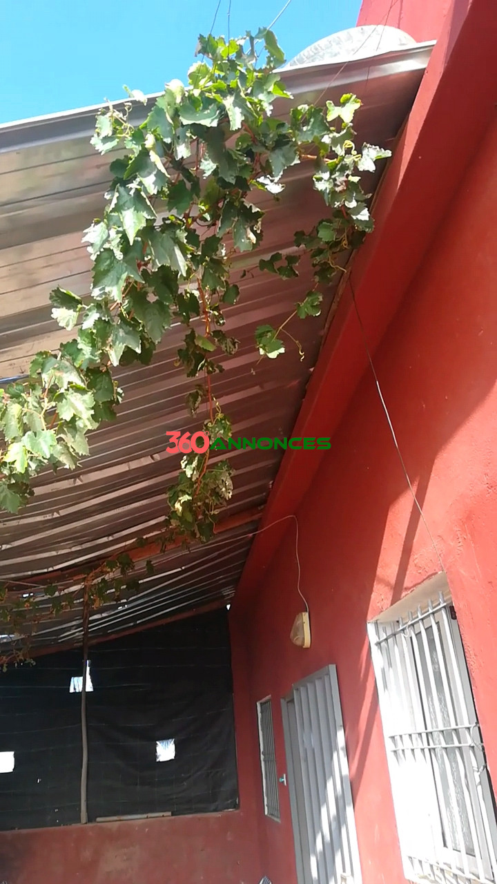 Villa / Ferme à vendre à Settat – 1400 m² - Prix : 360 000 DH - photo 9