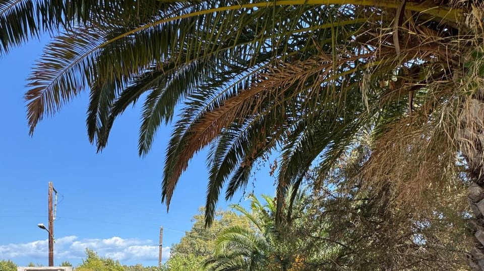 Halkidiki Villa 1