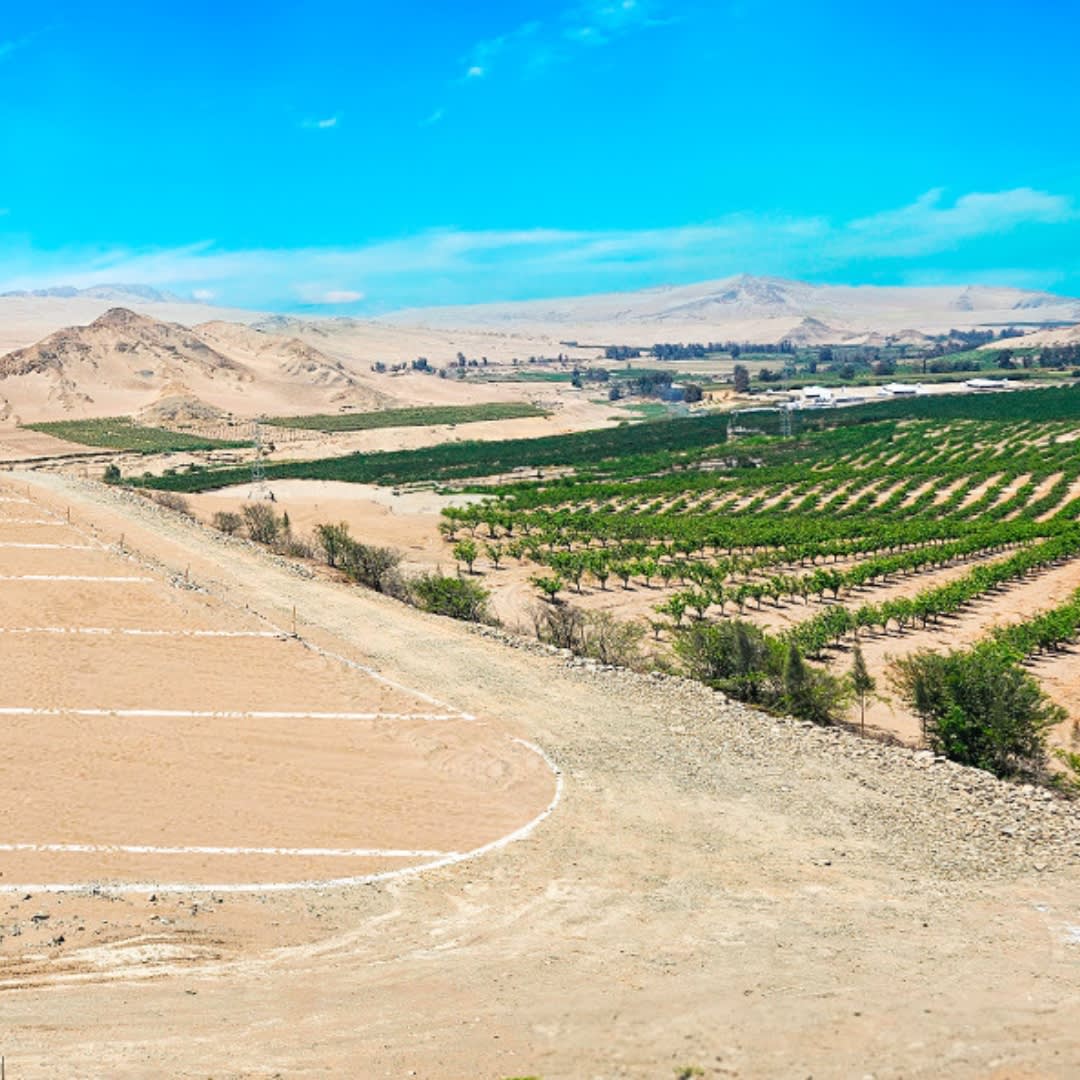 Lotes Huacho <b>"Proyecto Bosque Alto"</b> - Imagen 5