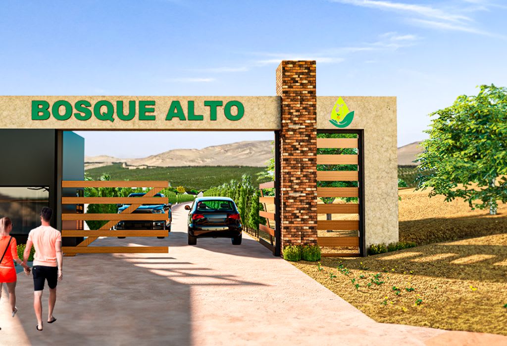 Maqueta Bosque Alto 1