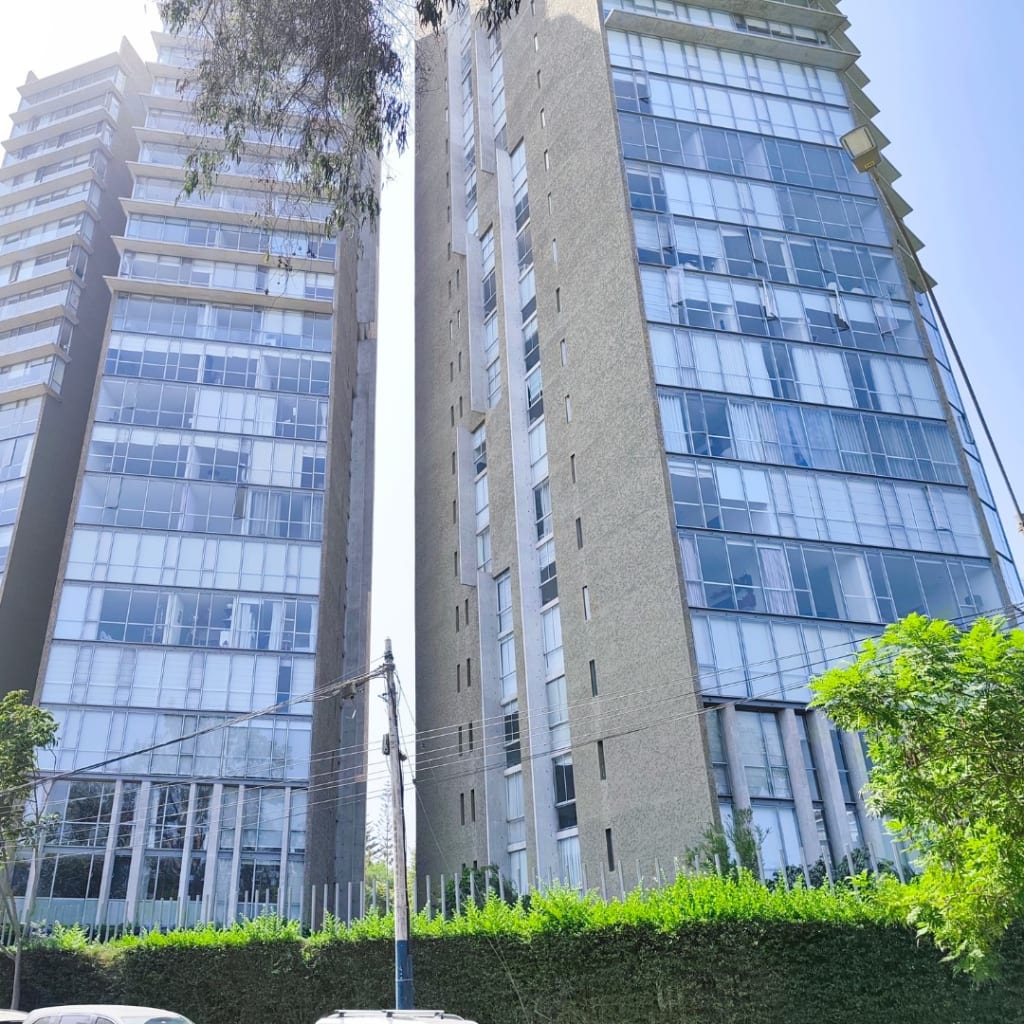 Cedros Sam Isidro