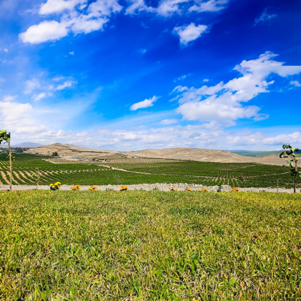 Lotes Bosque Alto - Huacho 6