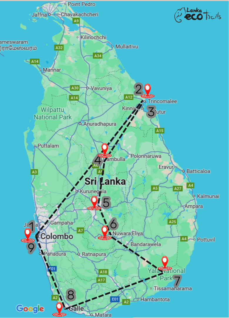 Tour Map