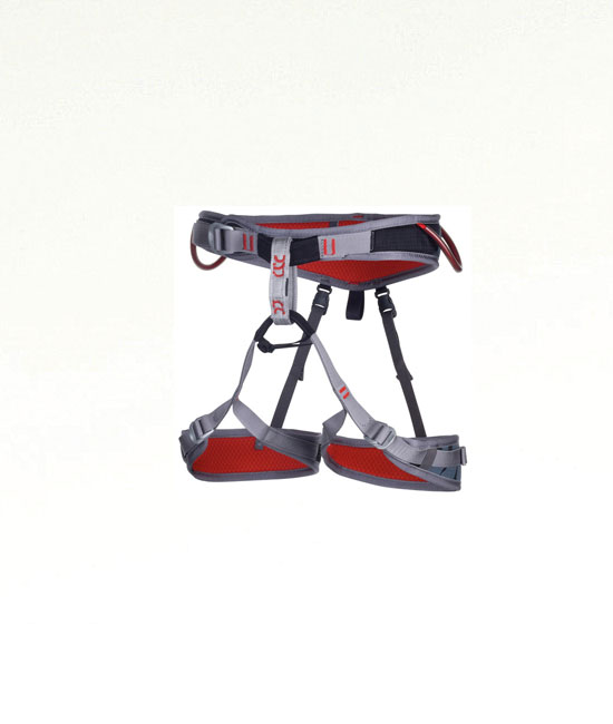 FLINT - Harness
