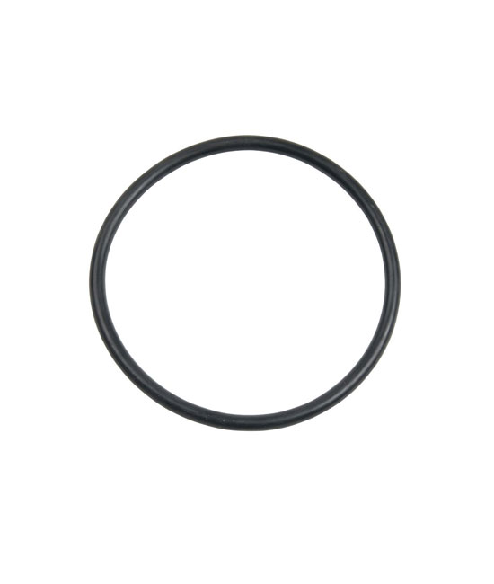 Carlson Pump Rubber O-ring