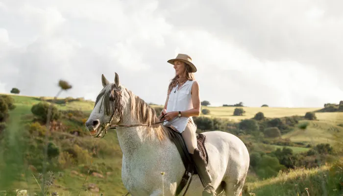 Racing Saddle Cloths