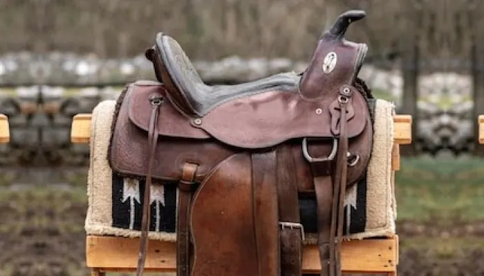 Good Brand of Saddle