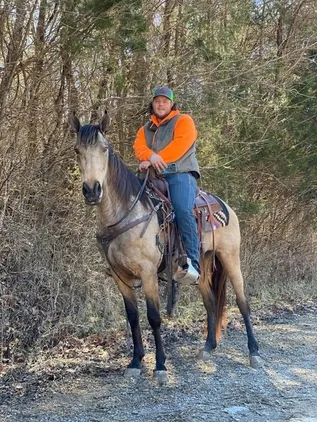 Place your bids at www.PlatinumEquineAuction.com Super smooth gaited Buckskin Beauty, Great on trails and traffic safe!