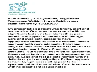 SFF Pusher’s Blue Smoke Tennessee Walker