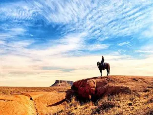 Chocolate Rocky Mountain Horse- Ranch, Gaited Trail Gelding