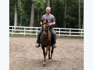 Rocky Mountain Mare for Sale in Usa
