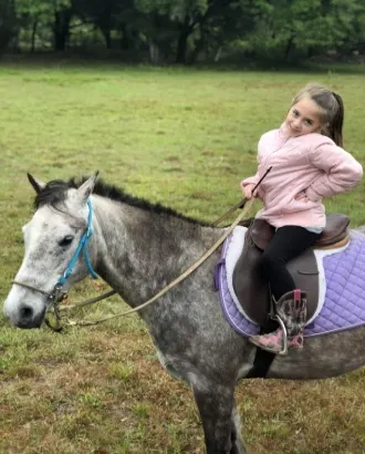 Quarter Pony Gelding Horse