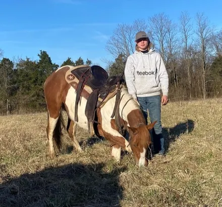 Online Auction, Super Smooth Gaited Trail Horse! for sale in USA