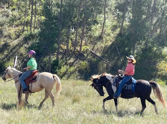 Spotted Saddle Horse/Rocky Mountain Horse gelding