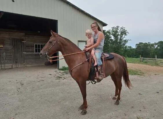 Gentle & Safe Tennessee Walker Trail Mare