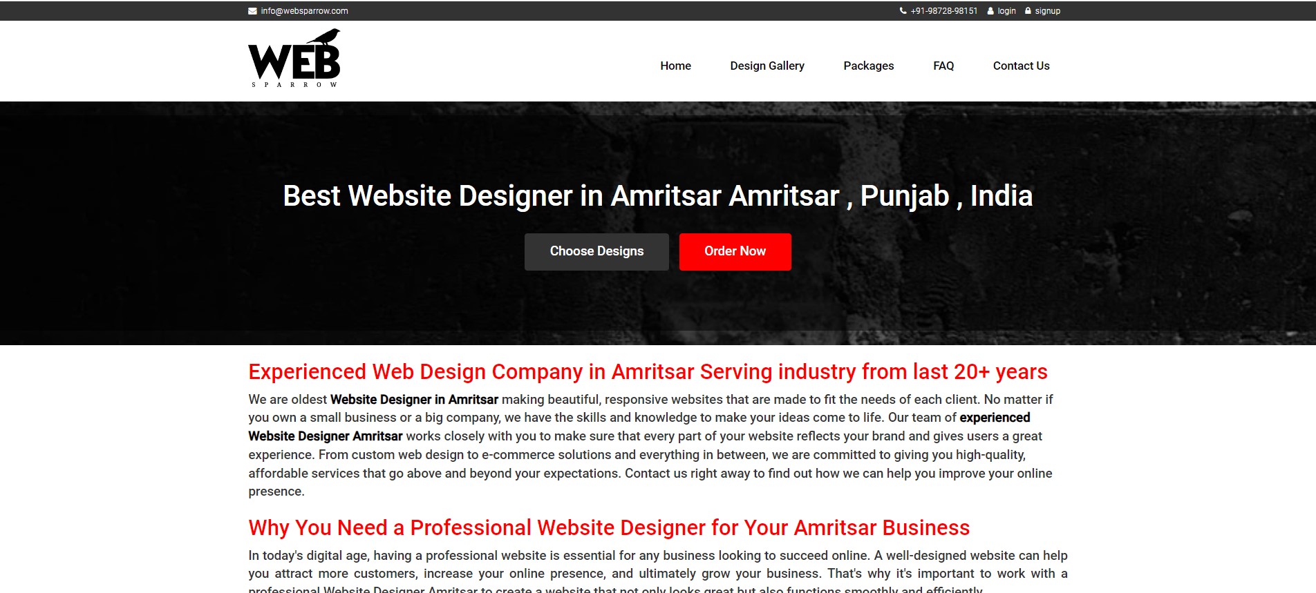 TOP 10 Website Designing Companies in Punjab