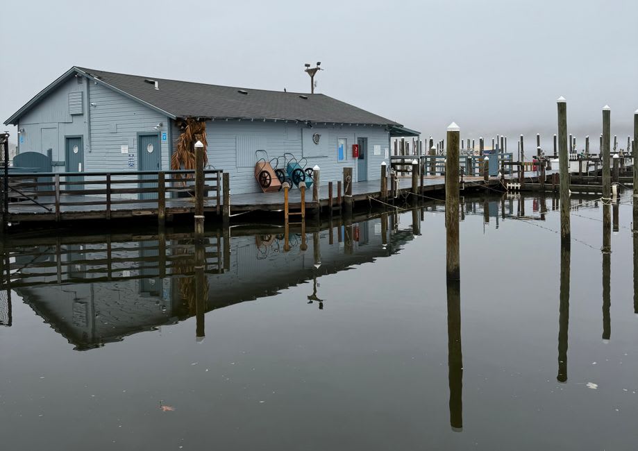 Cluster of small wooden boathouses and jetties along the sheltered harbor of Seglinge with several fishing boats moored