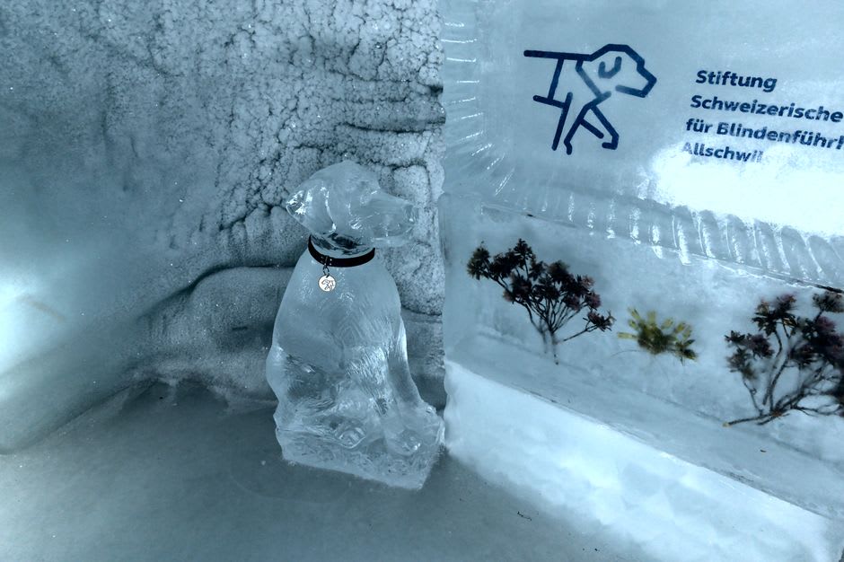 The interior of the Aurora Ice Museum with carved ice sculptures lit in blue and purple light