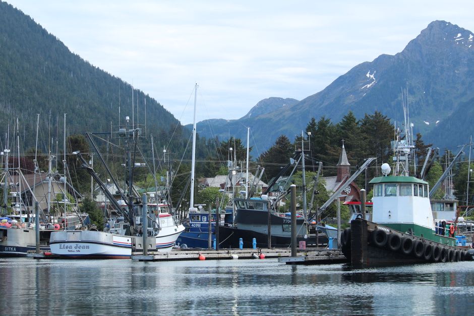 Copper River salmon being unloaded from a fishing boat at the Cordova harbor dock