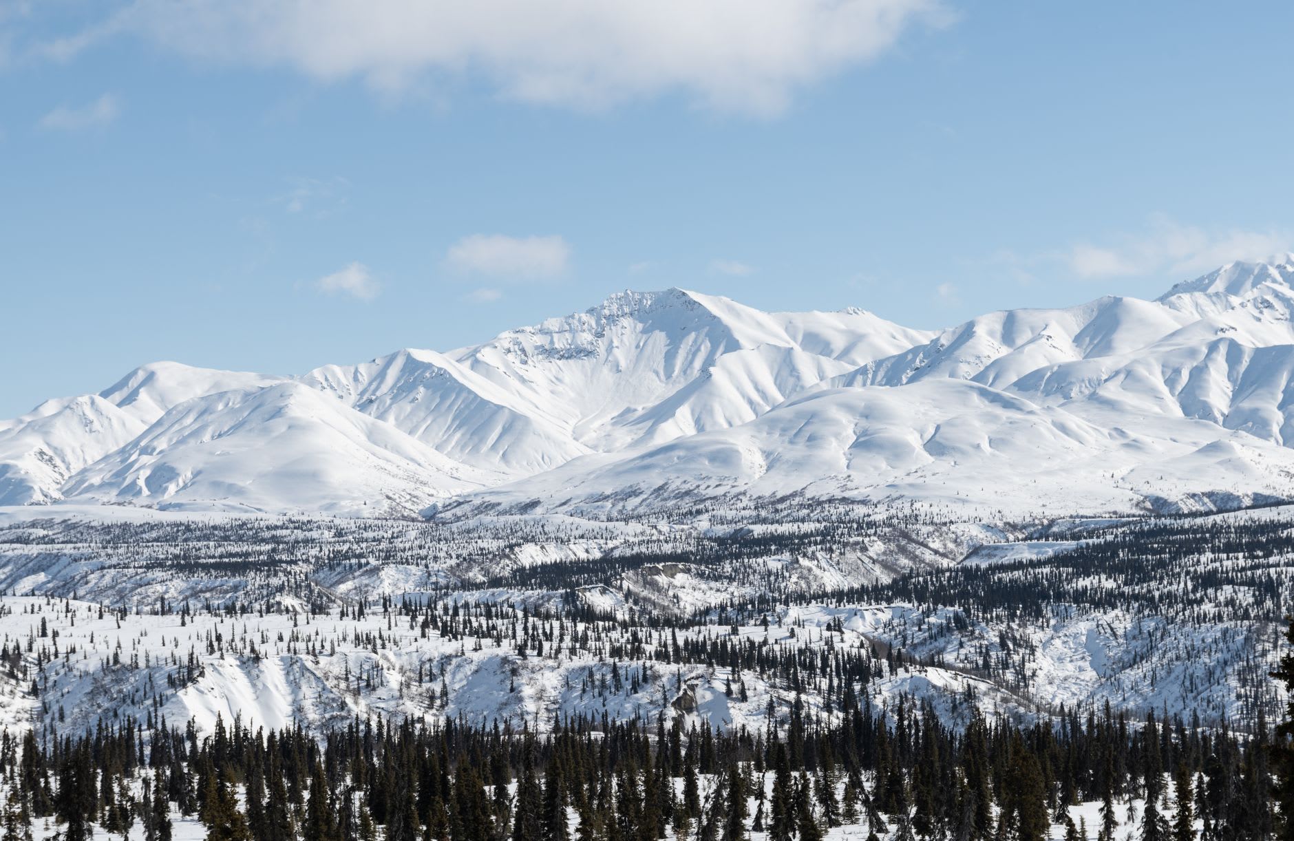 Denali summit emerging above cloud banks with autumn tundra in the foreground