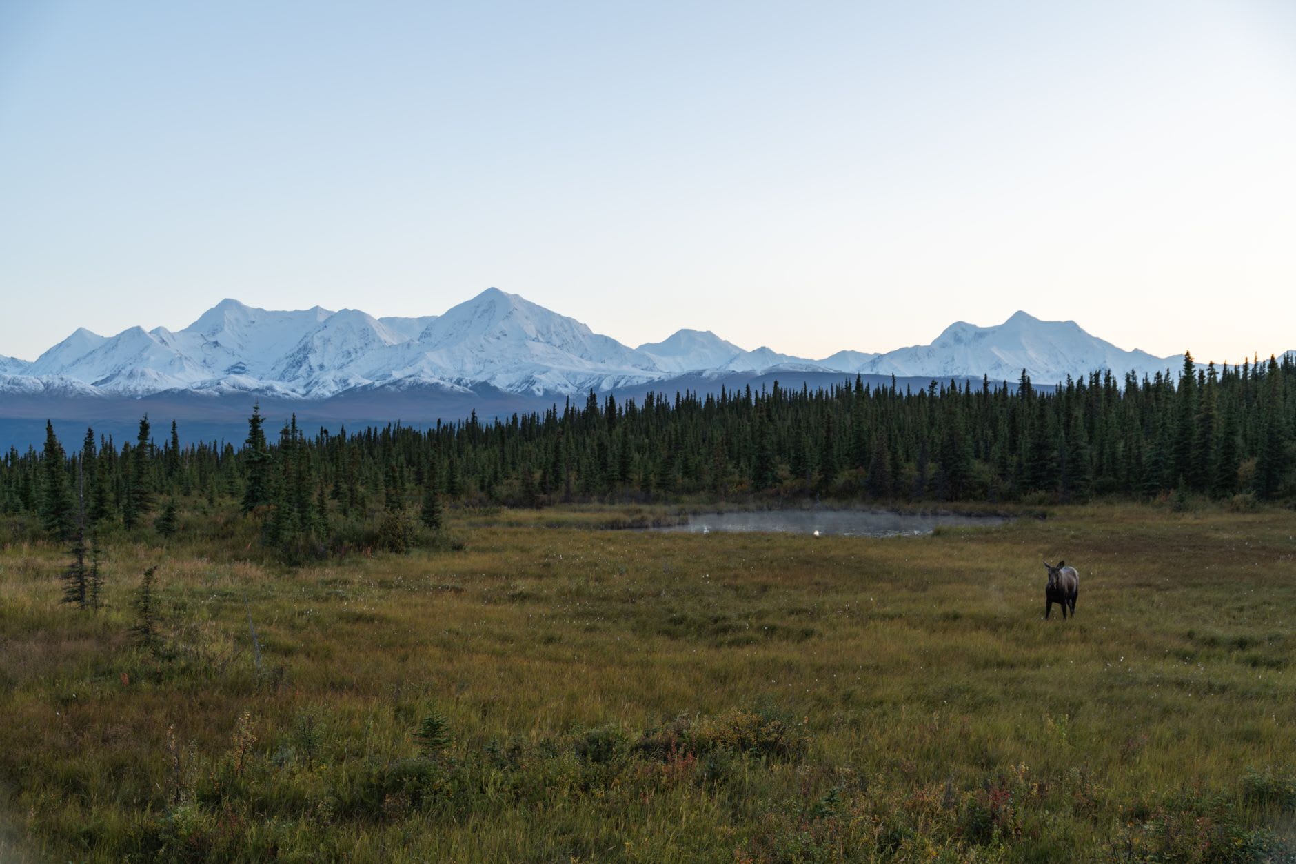 Floatplanes lined up on the Talkeetna river bar with Denali's slopes visible in clear morning air