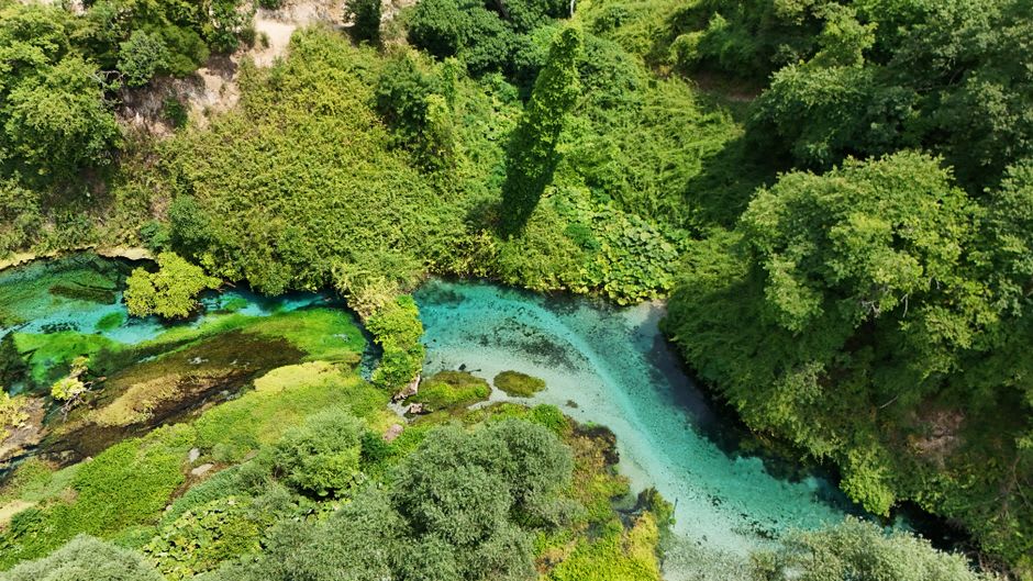 Un sentier forestier étroit bordé de platanes menant vers le bras d'eau claire de la source