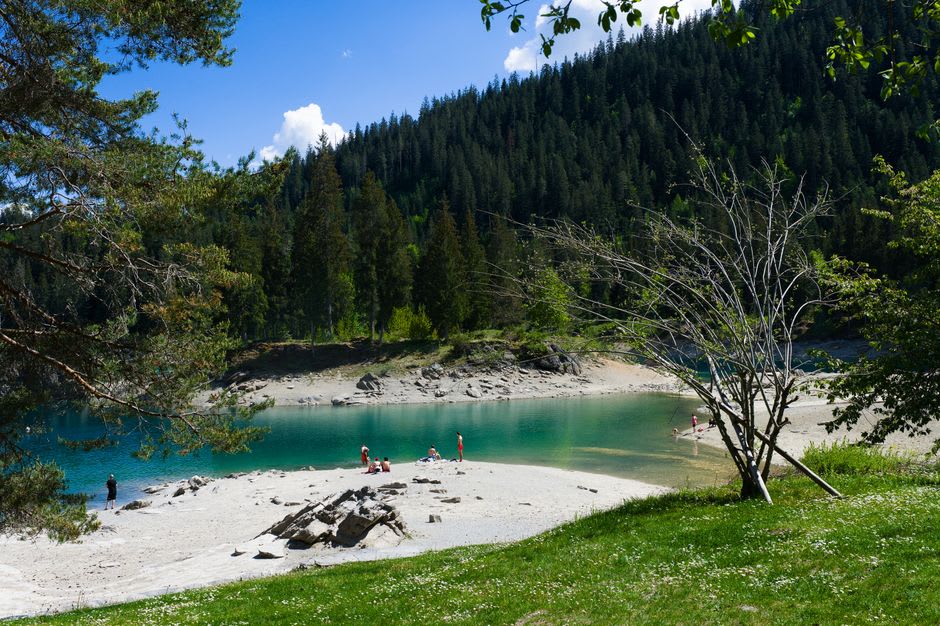 The turquoise waters of the upper Grassi Lake near Canmore, framed by limestone cliffs and pine forest
