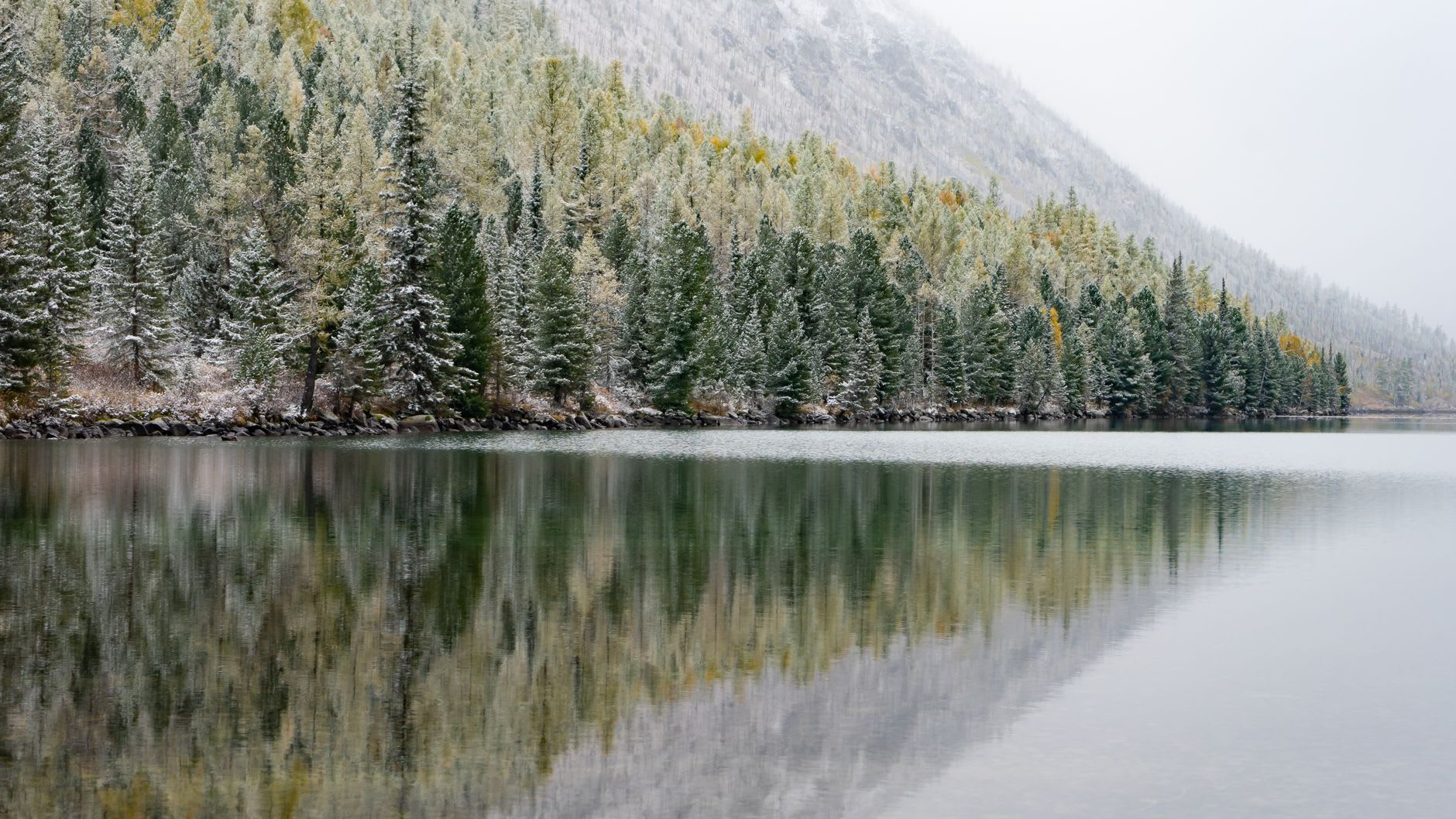 A column of white water dropping down a dark cliff face directly into Lake Teletskoye, surrounded by dense cedar forest.