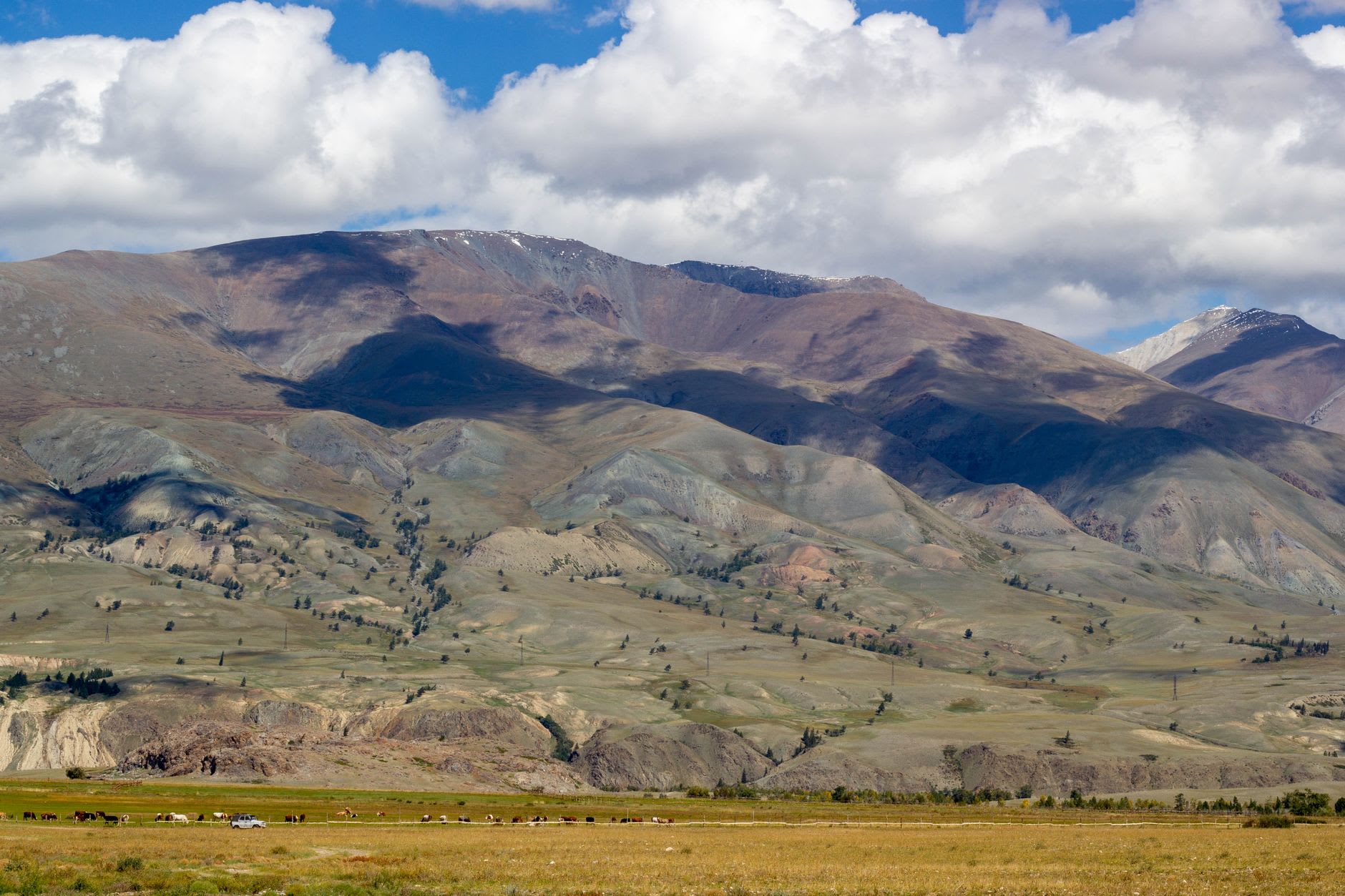 A Pazyryk-era stone burial mound on the Ukok Plateau surrounded by wild grassland under late afternoon light