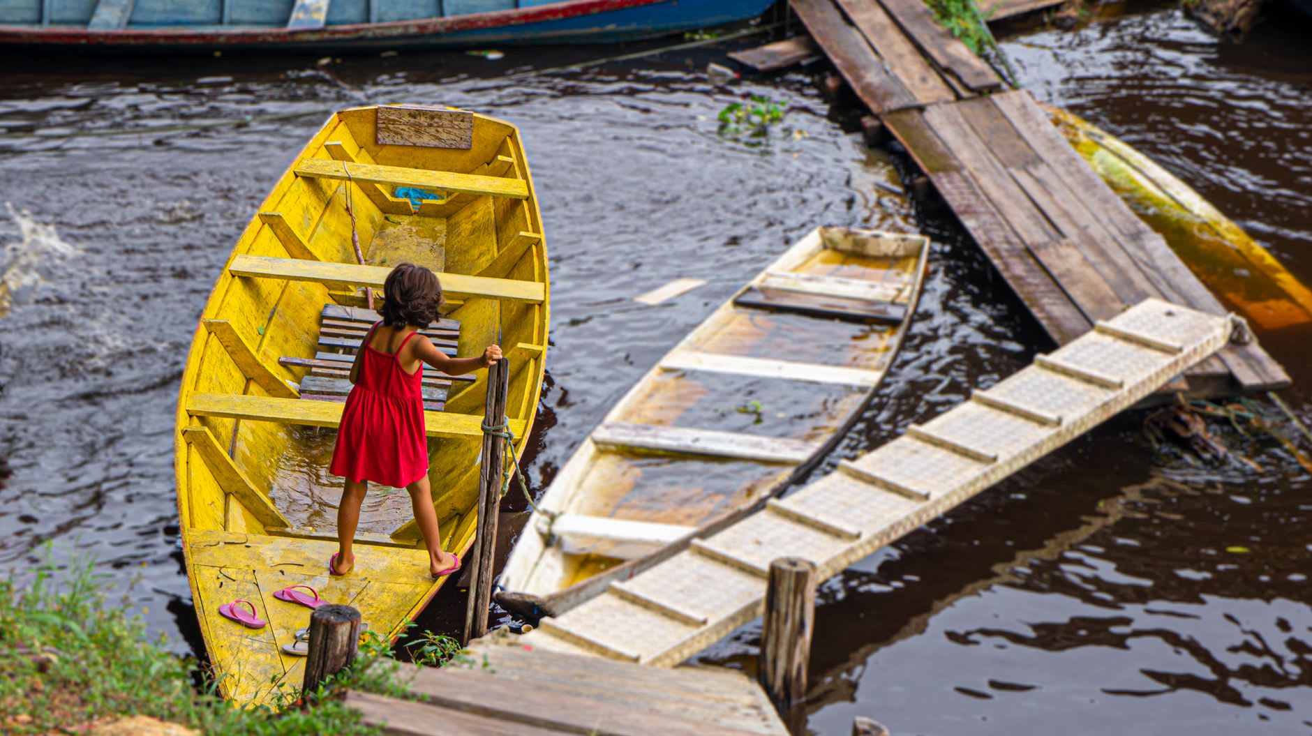 The dramatic meeting point where Rio Negro's black water meets the Amazon's sandy-brown current