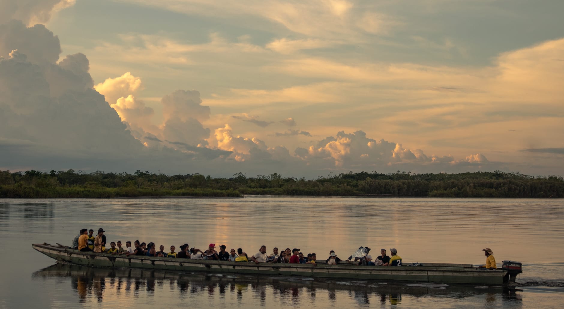 D'immenses feuilles de Victoria amazonica couvrant la surface du Lago Tarapoto, leurs rebords se courbant vers le haut dans la lumière du petit matin