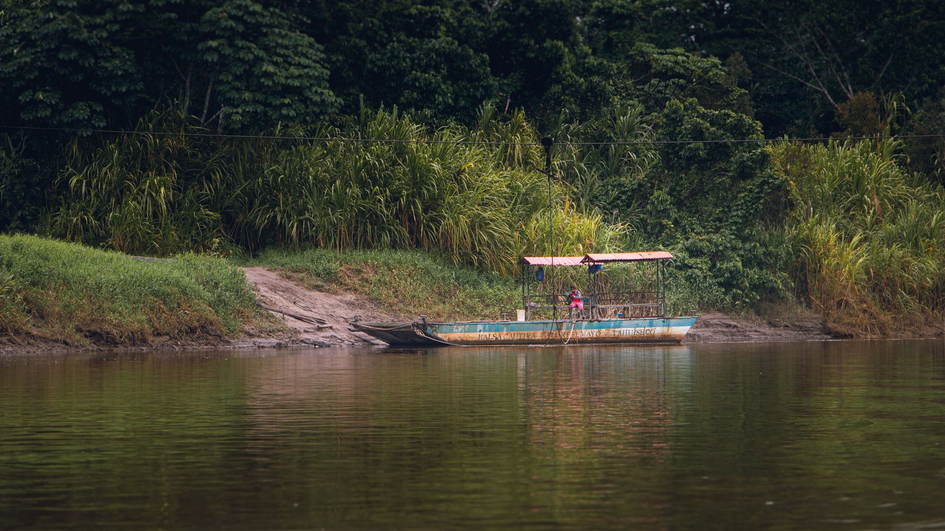 The Manu River winding through unbroken lowland Amazon canopy, photographed from a high bank in early morning light