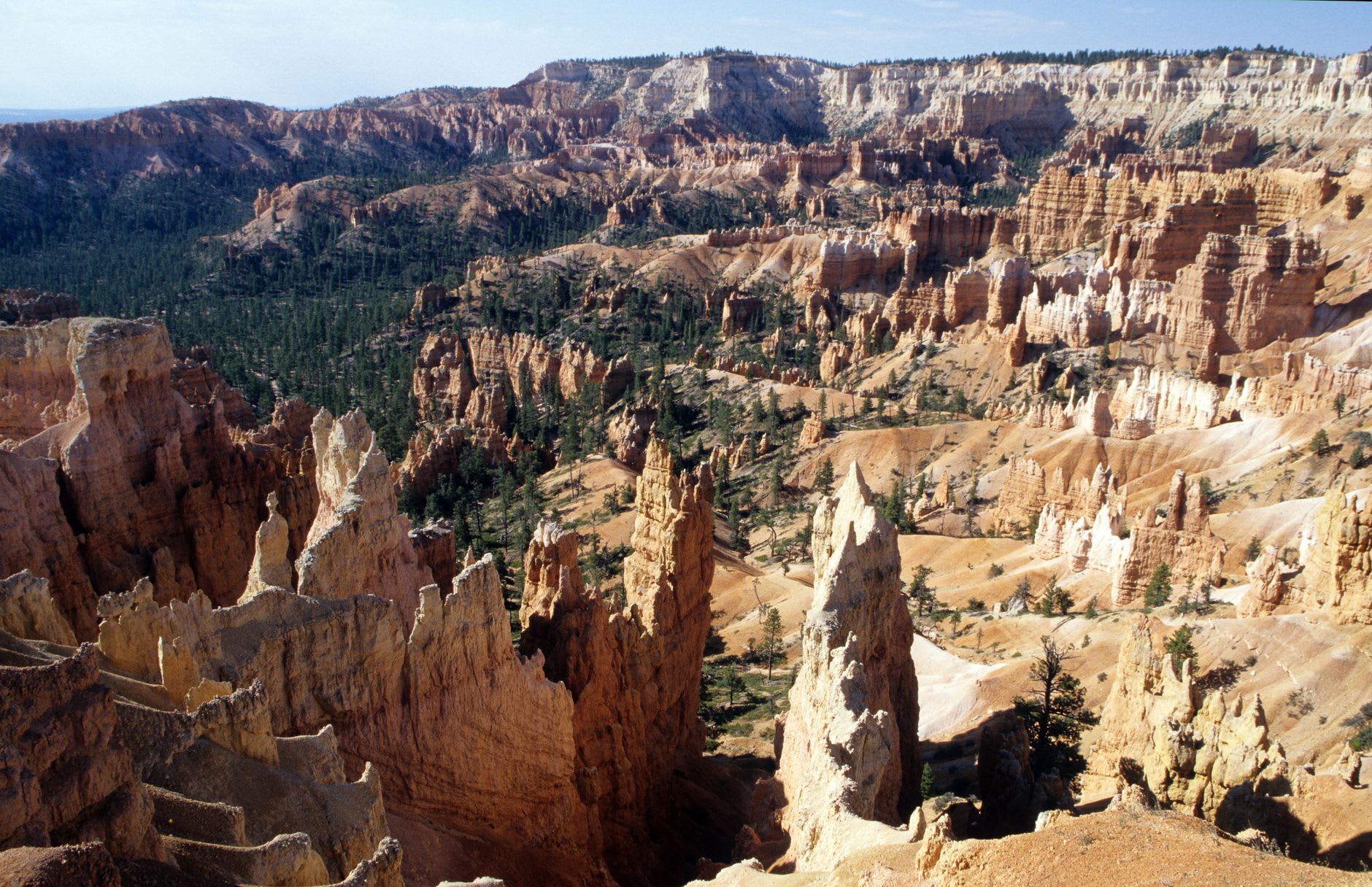 The Bryce Amphitheater glowing in the first warm light of sunrise, hoodoos casting long shadows across the canyon floor