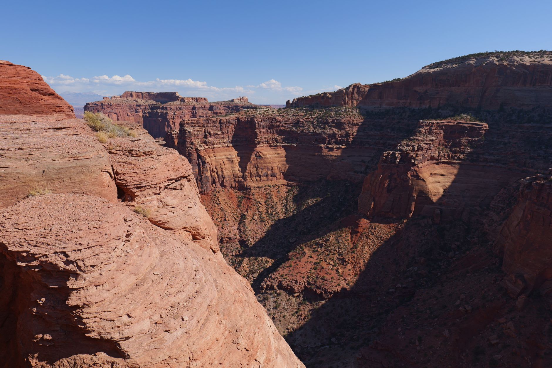 The sheer red sandstone walls of Canyon de Chelly dropping to a green valley floor with cottonwood trees and a thin creek