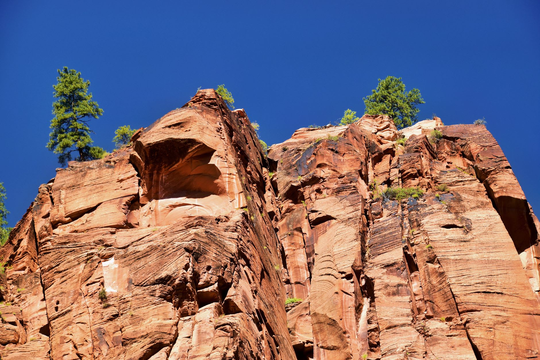 The Zion Canyon Scenic Drive winding between sheer canyon walls in morning light, the Virgin River visible below