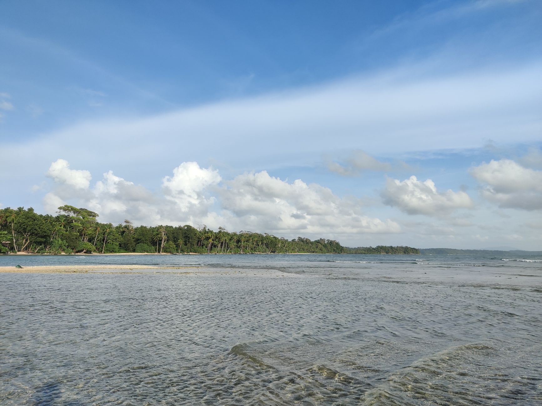 A jungle path of wooden planks and packed earth leading through dense mangrove forest toward the limestone cave entrance on Baratang Island.