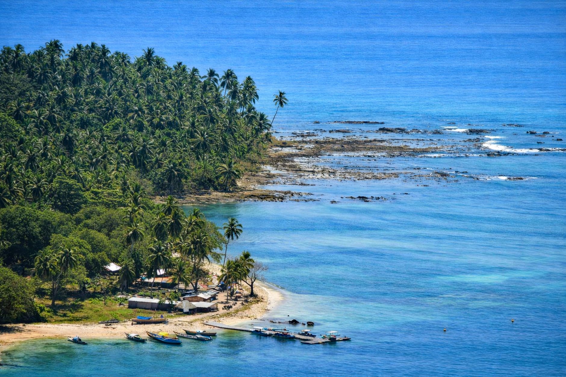 Snorkeler hovering above a dense field of staghorn coral and reef fish at Jolly Buoy Island in the Mahatma Gandhi Marine National Park